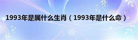 1993年什么命